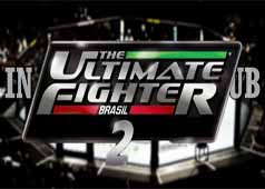 The Ultimate Fighter Brasil 2013